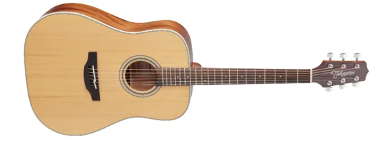 Takamine GD20-NS, Akustisk Gitar