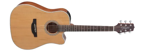 Takamine GD20CE-NS, Akustisk Gitar m/mic & cutaway